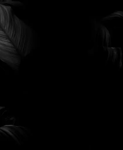 Confessions footer