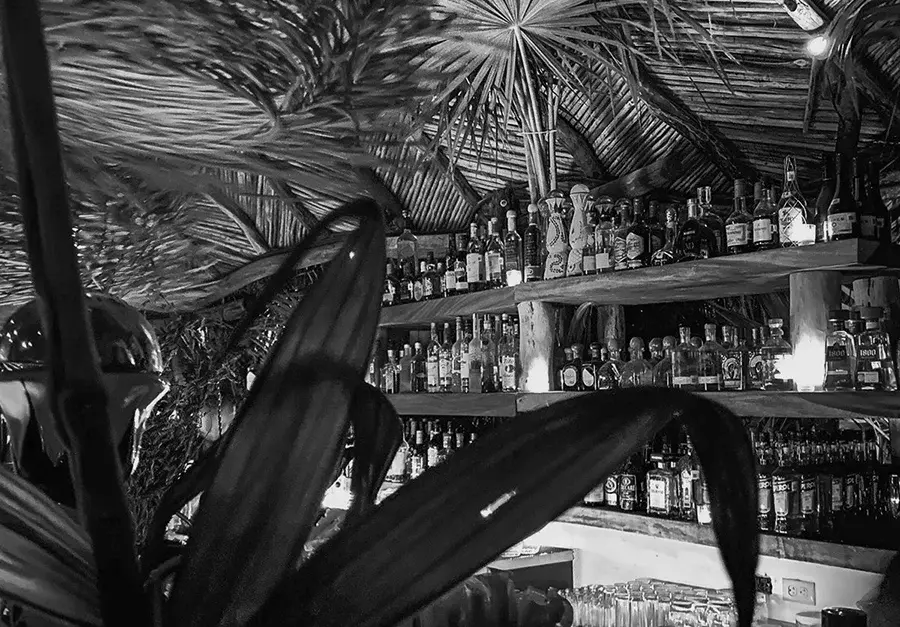 Confessions Tulum